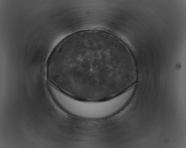 X0000091461079200708301826