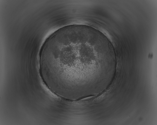 X0000091461080200708301826