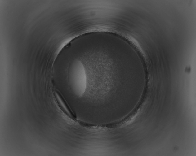 X0000091461081200708301826