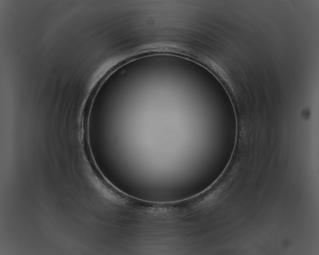 X0000091461082200708301826