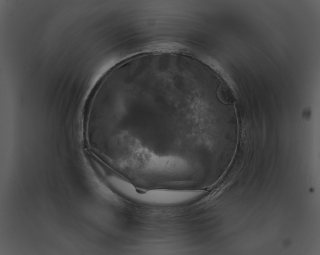 X0000091461083200708301826