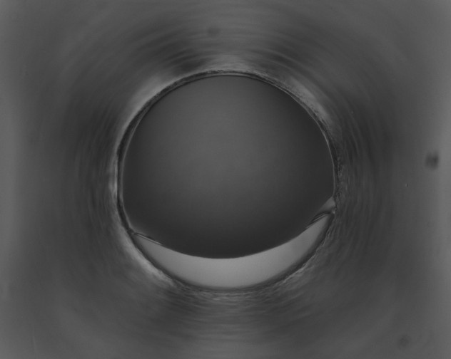 X0000091461084200708301826