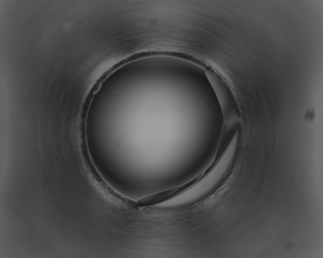 X0000091461085200708301826