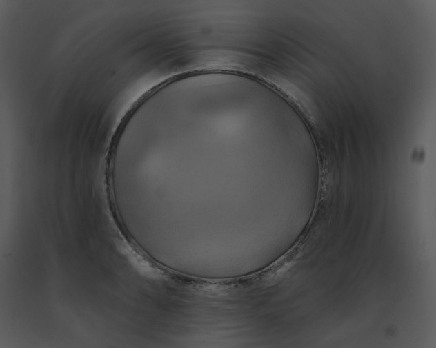 X0000091461086200708301826