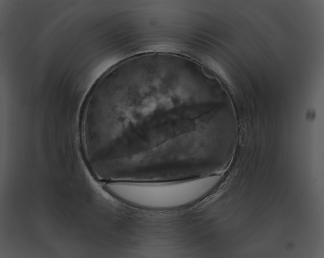 X0000091461087200708301826