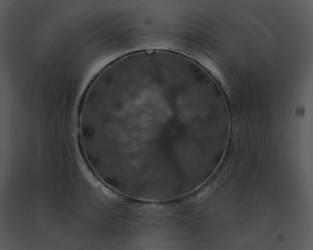 X0000091461088200708301826