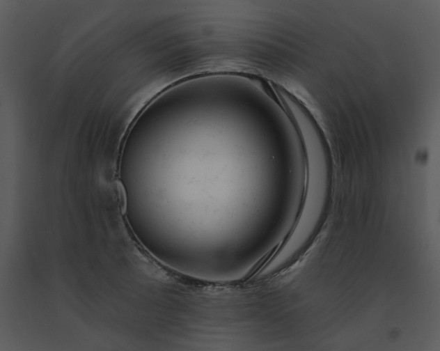 X0000091461089200708301826