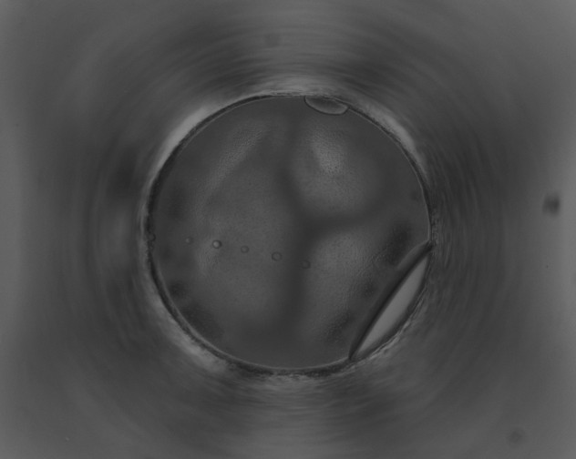 X0000091461091200708301826