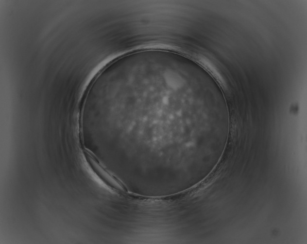 X0000091461092200708301826