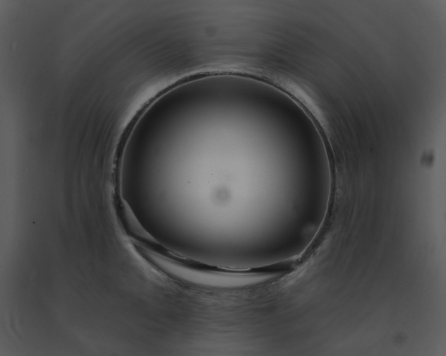 X0000091461093200708301826