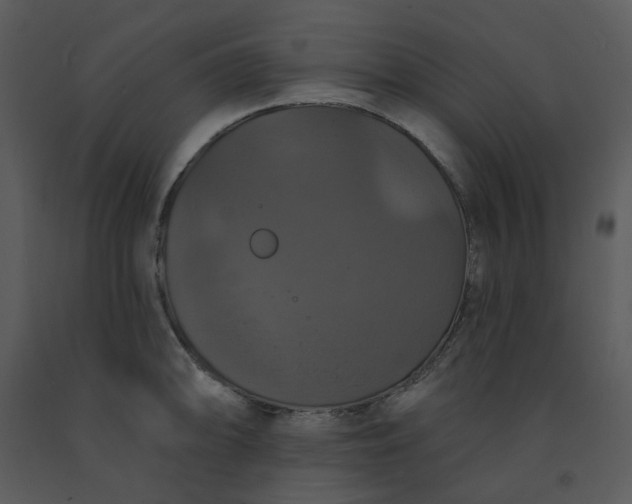 X0000091461094200708301826