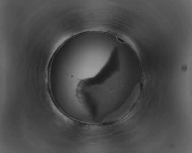 X0000091461095200708301826