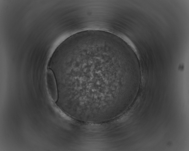 X0000091461096200708301826