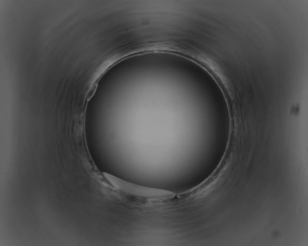 X0000091461097200708301826