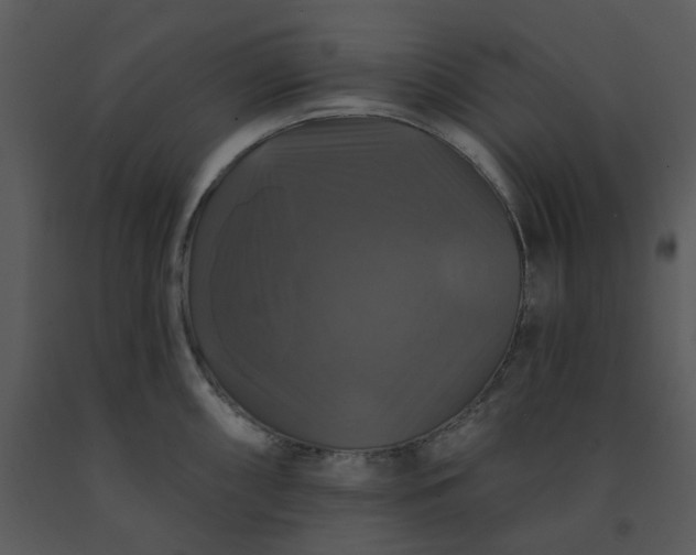 X0000091461098200708301826