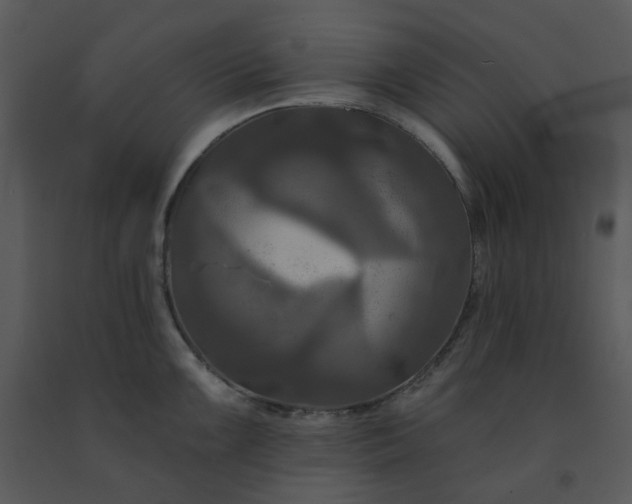 X0000091461099200708301826