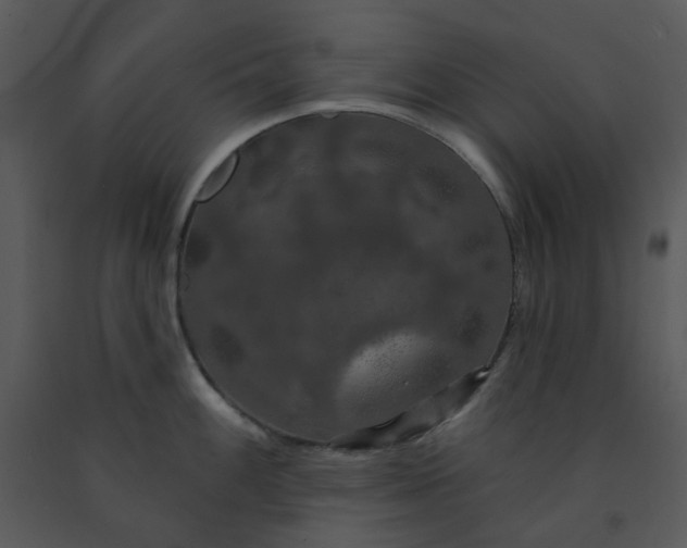 X0000091461100200708301826