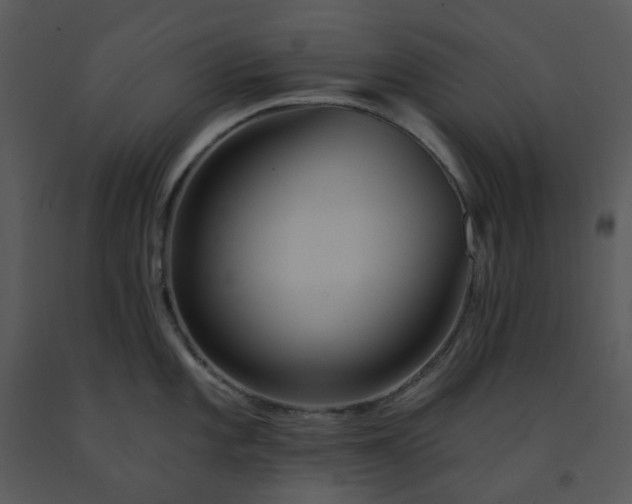 X0000091461101200708301826