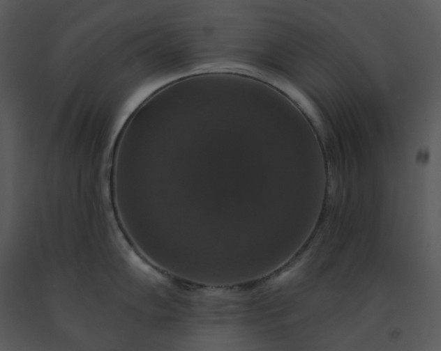 X0000091461102200708301825