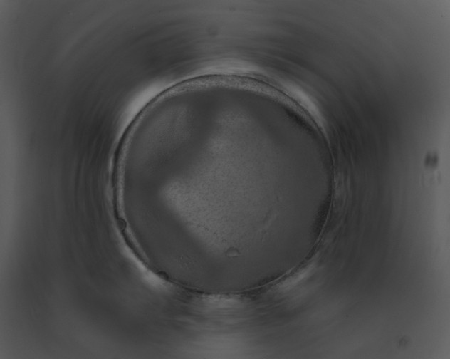 X0000091461103200708301825