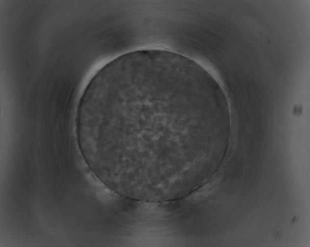 X0000091461104200708301825