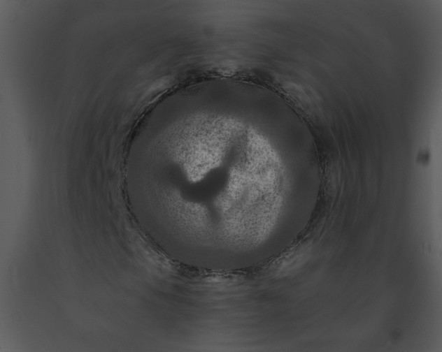 X0000091461105200708301825