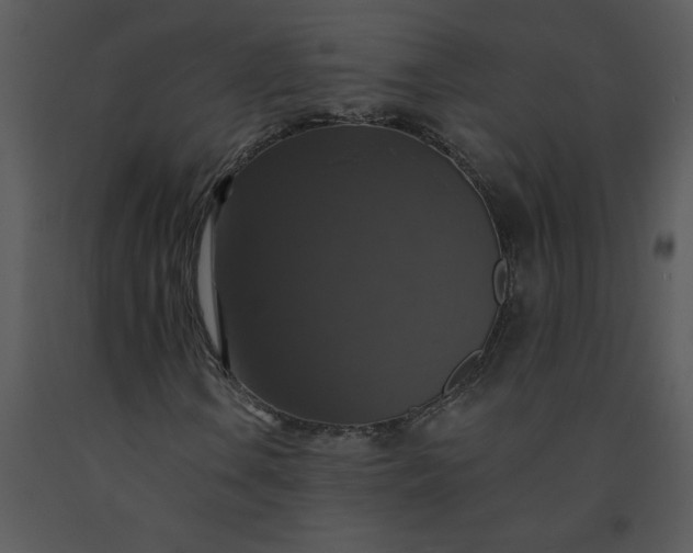 X0000091461106200708301825