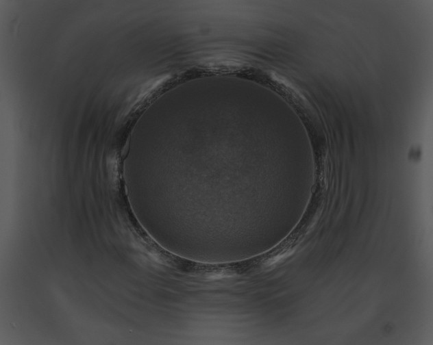 X0000091461108200708301825