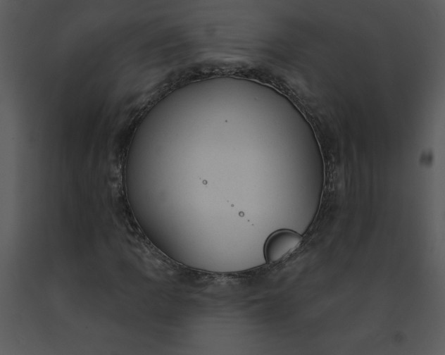 X0000091461109200708301825