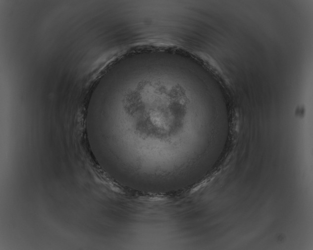 X0000091461110200708301825