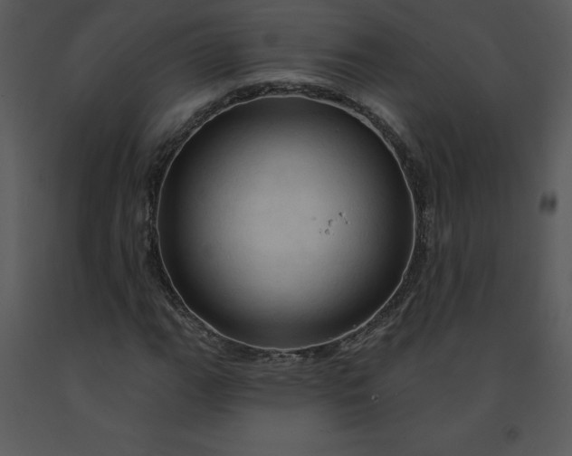 X0000091461111200708301825