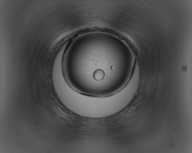 X0000091461112200708301825