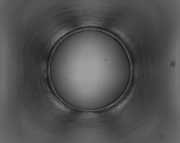 X0000091461113200708301825