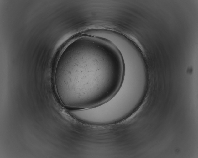 X0000091461114200708301825