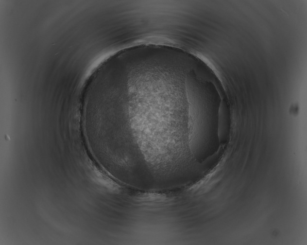 X0000091461115200708301825