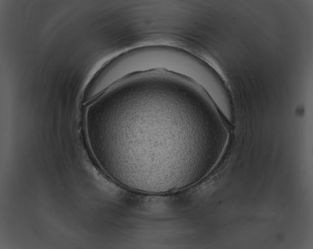 X0000091461116200708301825