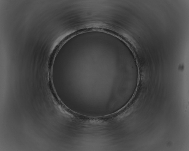 X0000091461117200708301825