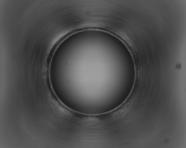 X0000091461119200708301825