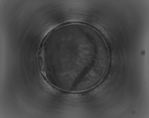 X0000091461121200708301825