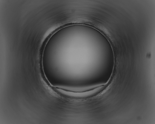 X0000091461122200708301825