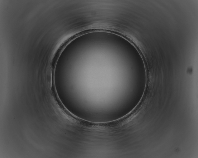 X0000091461123200708301825