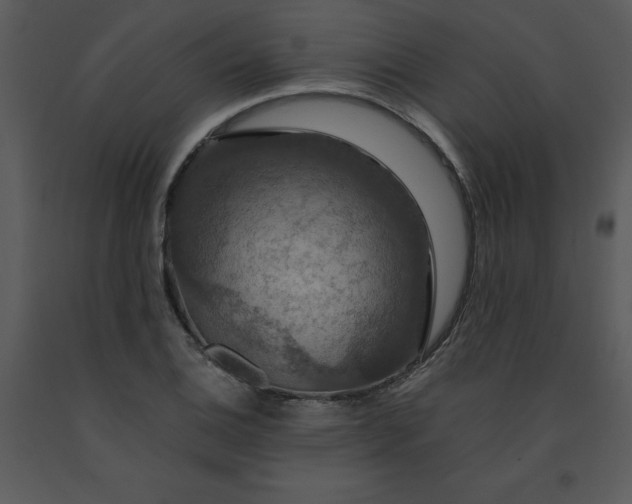 X0000091461124200708301825