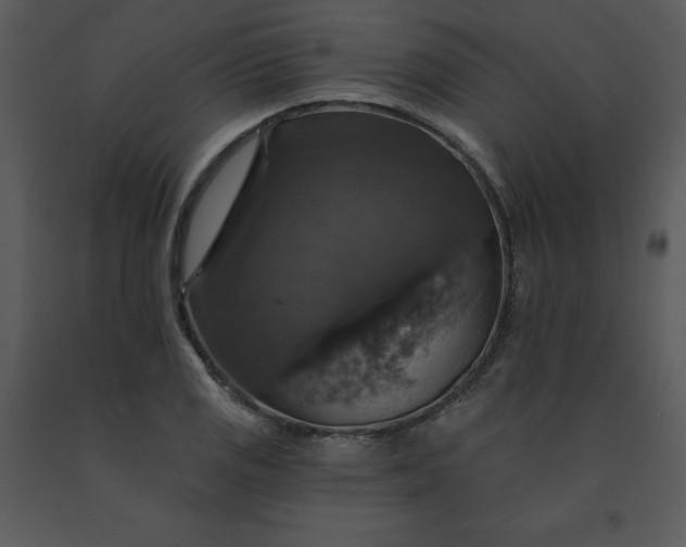 X0000091461125200708301825