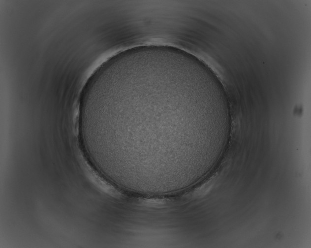 X0000091461126200708301825