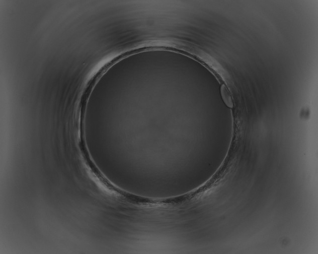 X0000091461127200708301825