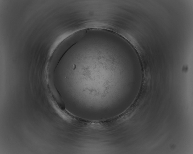 X0000091461128200708301825