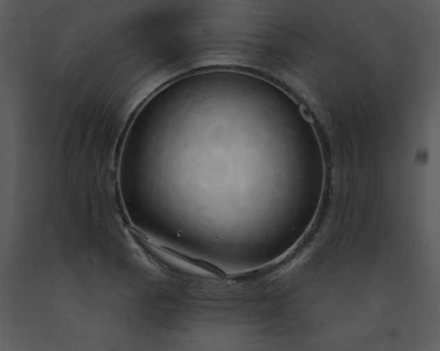 X0000091461129200708301825