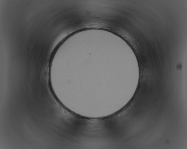 X0000091461130200708301825