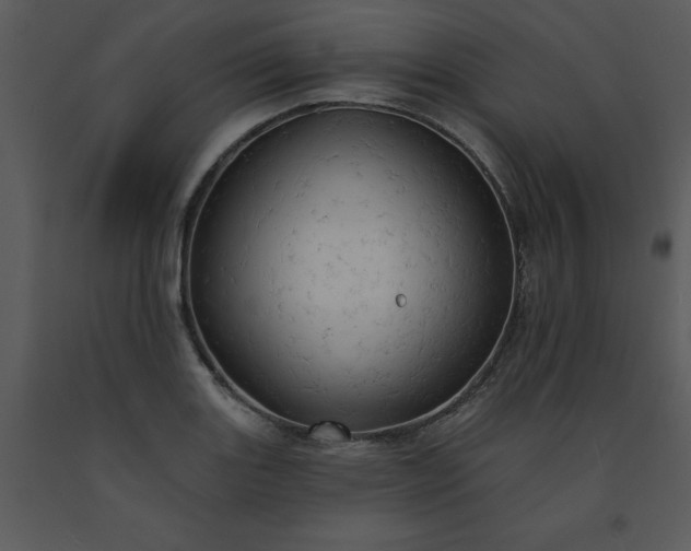 X0000091461131200708301825