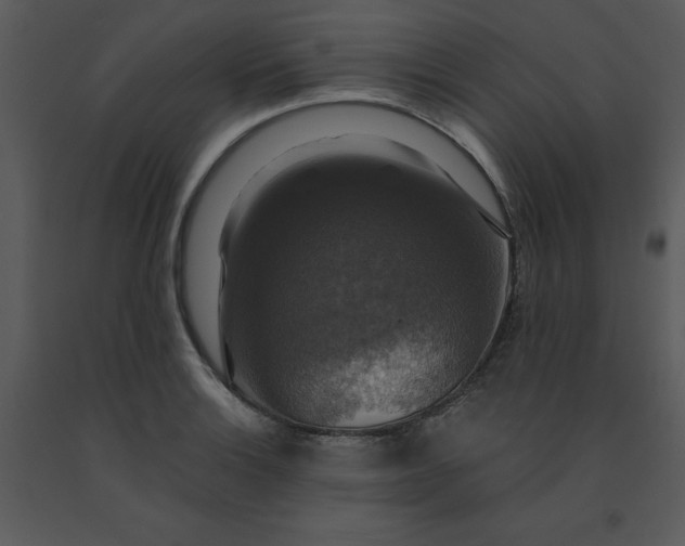 X0000091461132200708301825